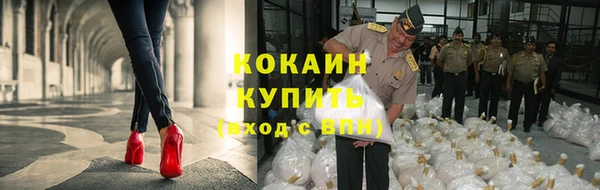 спиды Медвежьегорск