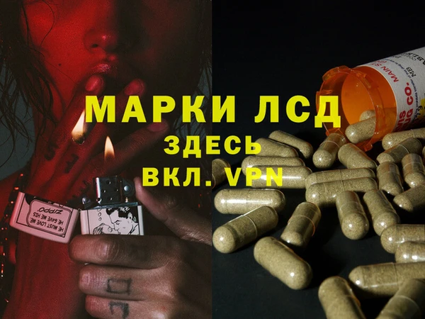прущие крисы Апатиты