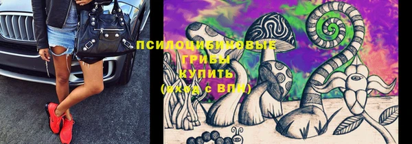 бошки Мегион